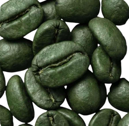 Screenshot-2026-02-06-220500-removebg-preview